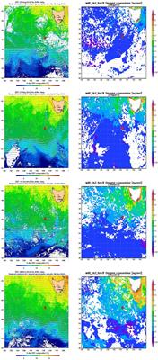 Autonomous Multi-Trophic Observations of Productivity and Export at the Australian Southern Ocean Time Series (SOTS) Reveal Sequential Mechanisms of Physical-Biological Coupling